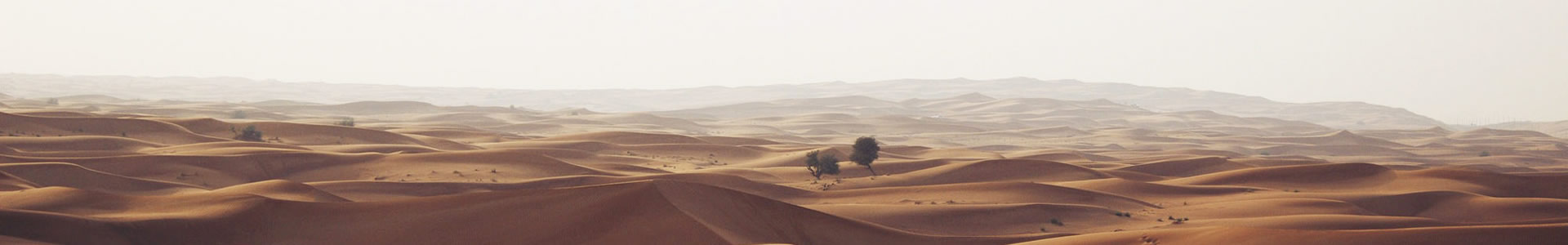 ɽľƼ޹˾